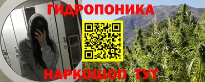 ГАЛЛЮЦИНОГЕННЫЕ ГРИБЫ Кунгур