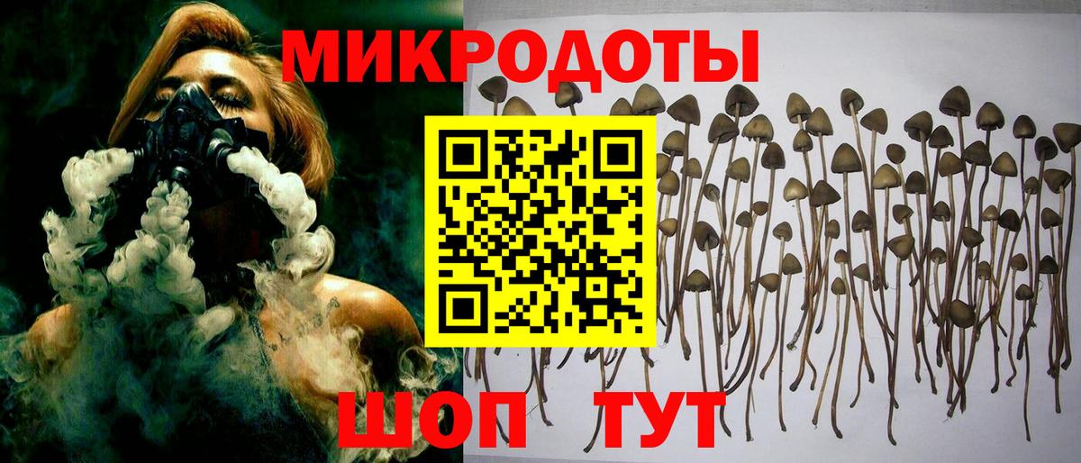 Псилоцибиновые грибы Psilocybine cubensis  Вход с VPN  Карталы 