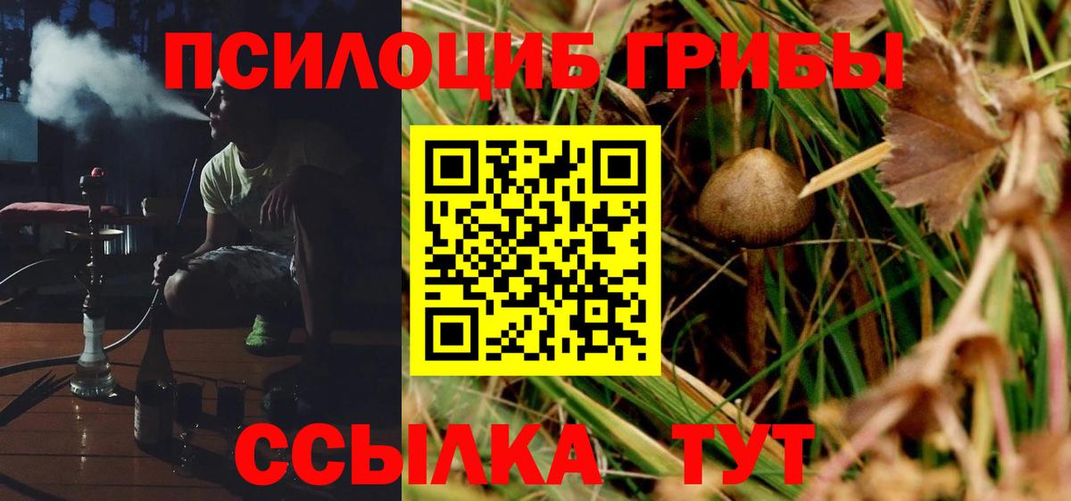 Псилоцибиновые грибы GOLDEN TEACHER Карталы